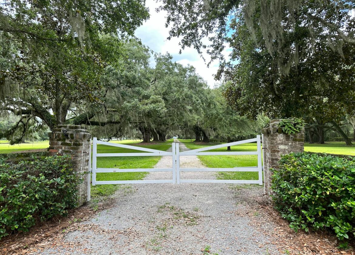 view of a gate at the bluff plantation in south carolina usa