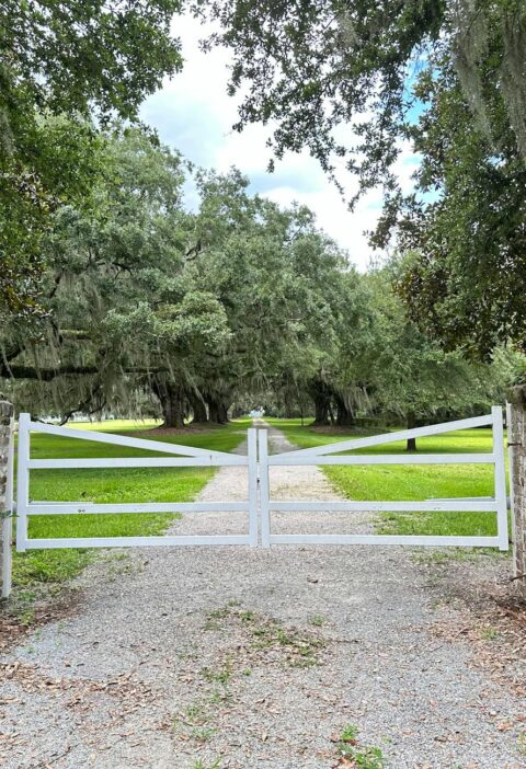 view of a gate at the bluff plantation in south carolina usa