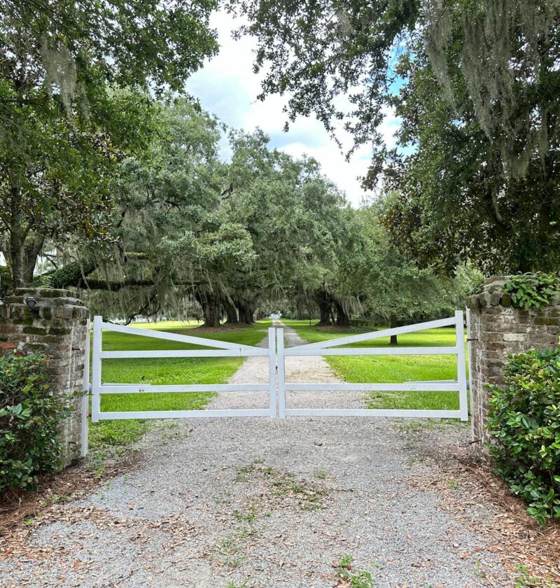 view of a gate at the bluff plantation in south carolina usa