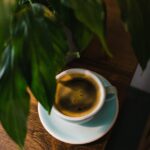 Can You Give Coffee to Plants? Thriving Plants That Love Coffee