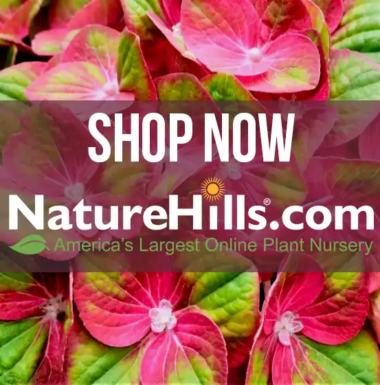 Nature Hills Nursery