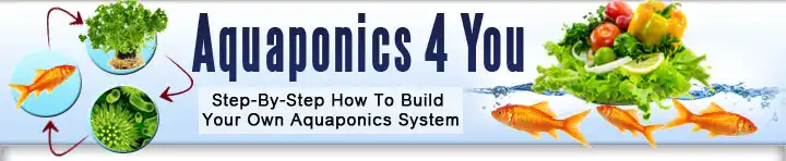 Aquaponics 4 You - Step-By-Step How To Build Your Own Aquaponics System