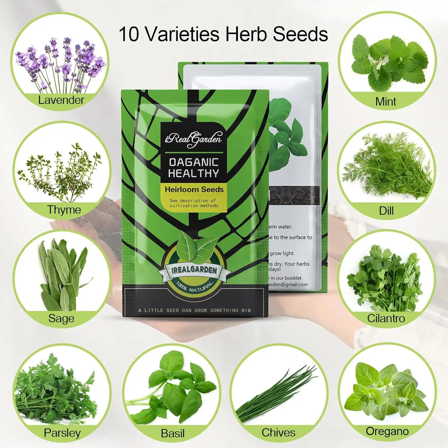 Indoor Herb Garden Starter Kit