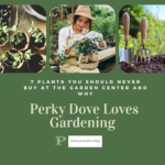 Best Spring Vegetables to Grow in Pots: A Guide for Home Gardeners