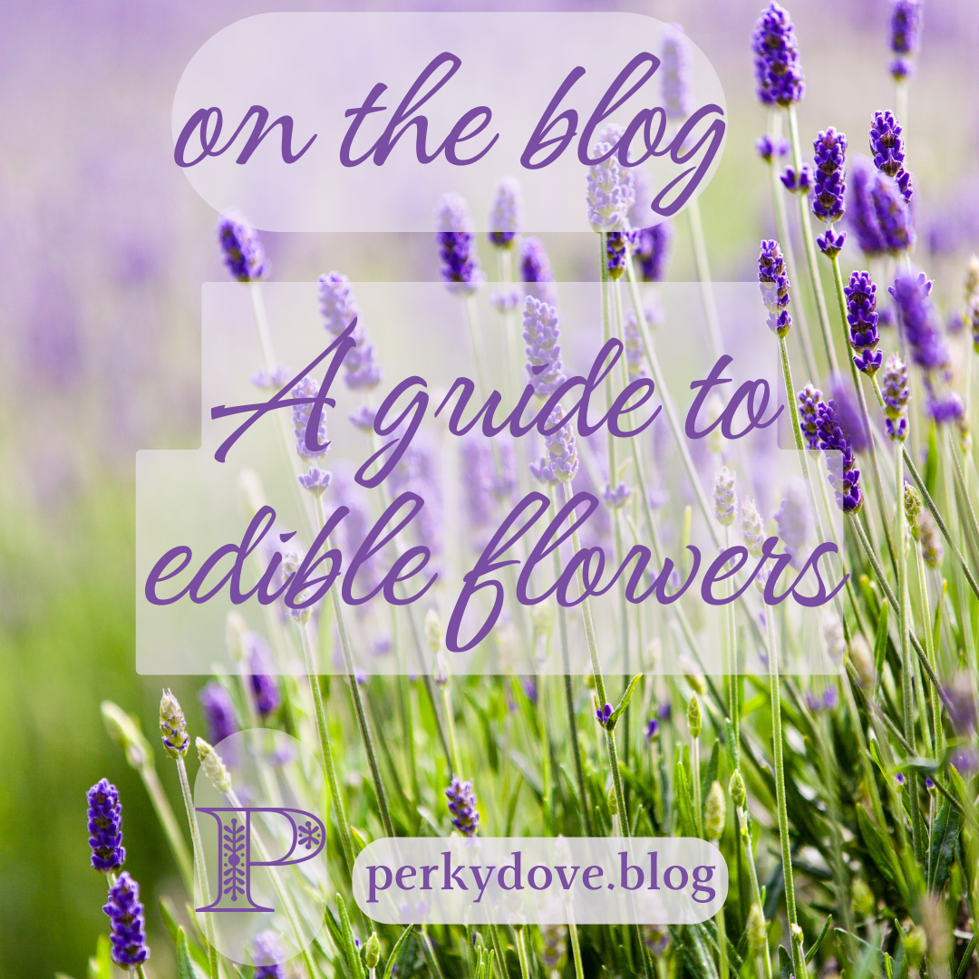 A Guide to Edible Flowers: How to Incorporate Them into Your Diet