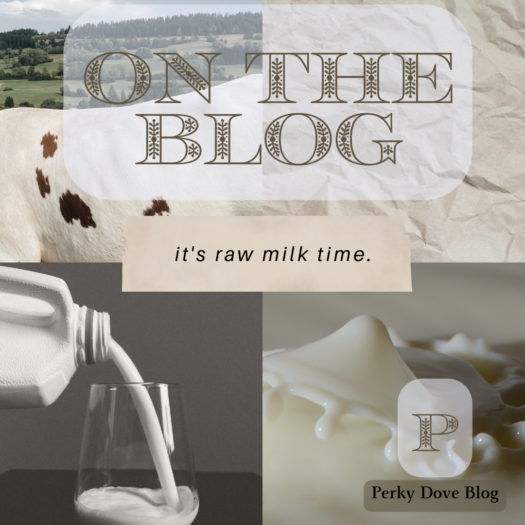 Fermenting Raw Milk: A Nutritious and Delicious Technique to Try at Home
