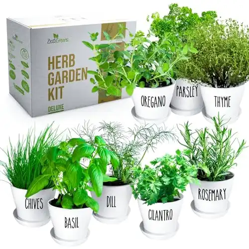 Deluxe Herb Garden Kit