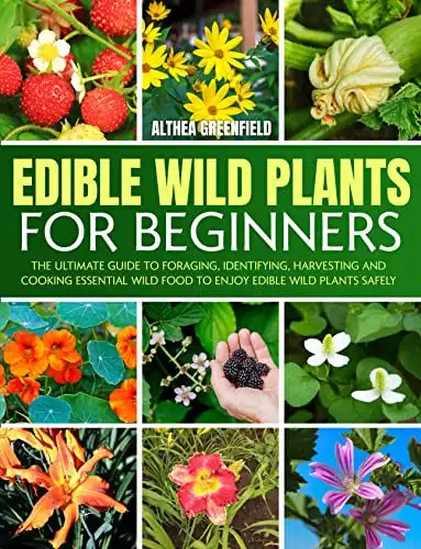 Edible Wild Plants For Beginners