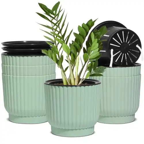 6 Inch Self Watering Pots