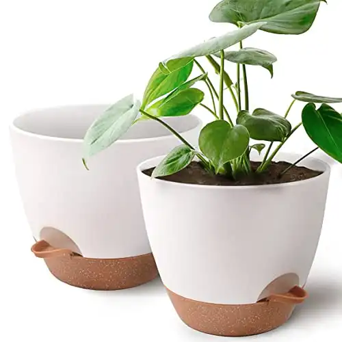 2-Pack, Self Watering Flower Pots