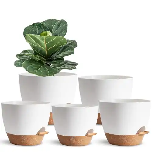 5Pack Self Watering Plant Pots