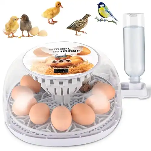 Egg Incubator