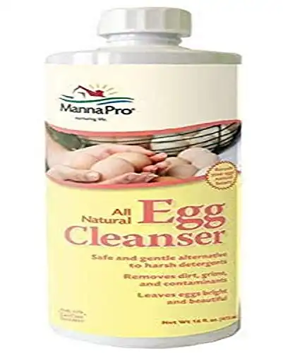 Egg Cleanser, 16 oz