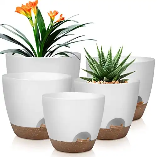 Self Watering Pots