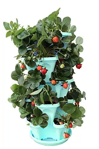 Mr. Stacky Vertical Gardening Planters (Tiffany Blue)