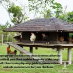 How to Easily Get Started Raising Chickens