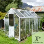 The Ultimate Guide to Growing Your Own Garlic