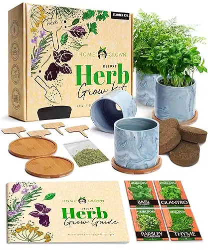 Indoor Herb Garden Kit w/Glazed Ceramic Pot