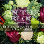 Creating a Stunning Fall Floral Display for Your Front, Back, and Side Porch