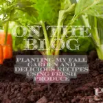 How to Successfully Plant Spinach and Lettuce: A Beginner’s Guide
