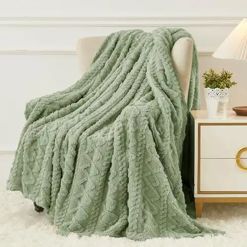 Cozy Soft Lightweight Fuzzy Throw Blanket