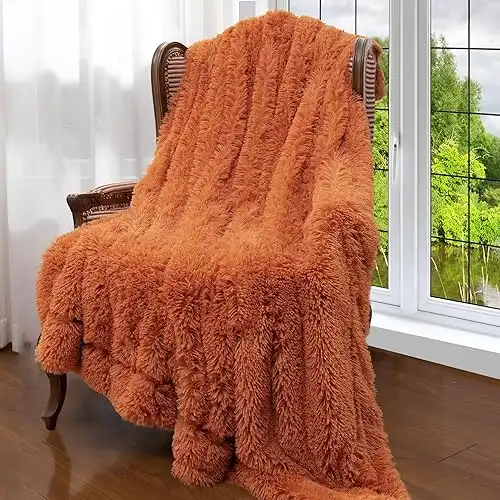 Cheer Collection Long Shaggy Hair Throw Blanket