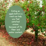 FREE illy Coffee Machine