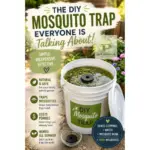Top 10 Mother’s Day Amazon Finds Under $15 (That She’ll Actually Love)
