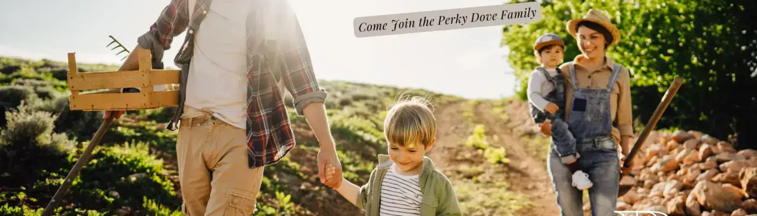2- Our Partners – Come Join the Perky Dove Family 2- Our Partners - Come Join the Perky Dove Family