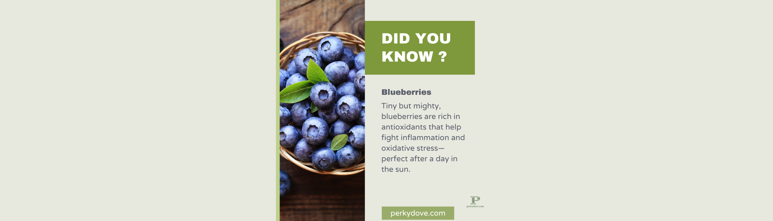 Blueberries 2 Blueberries 2