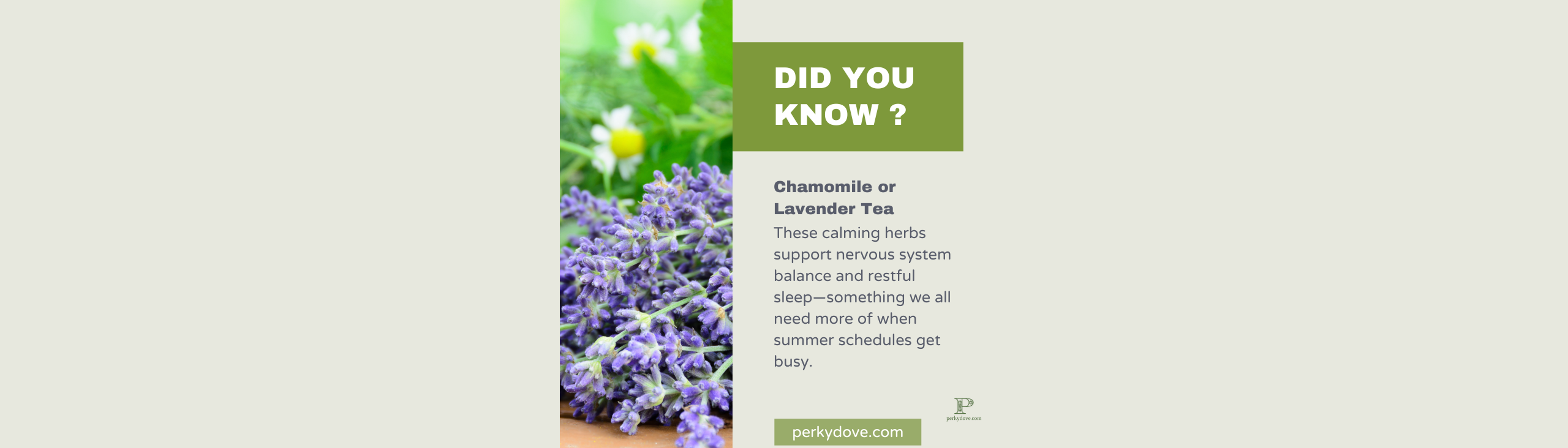 Chamomile or Lavender Tea 2 Chamomile or Lavender Tea 2