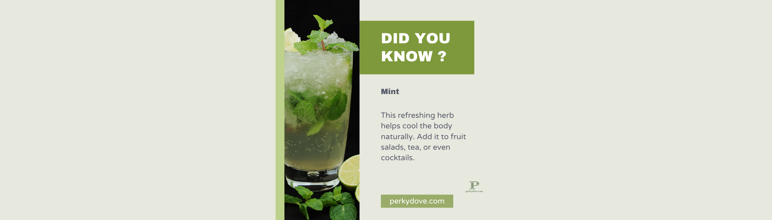 Mint 2 Mint 2